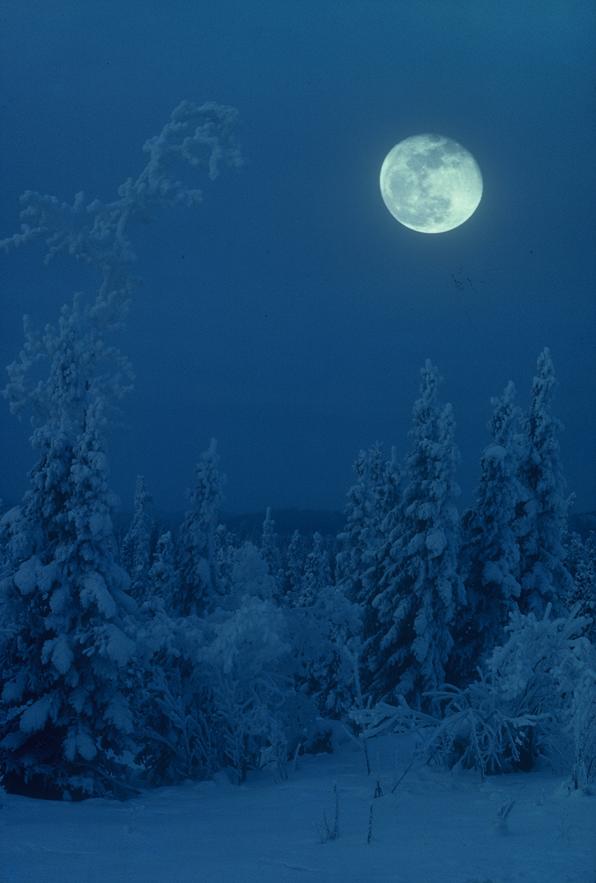 Moon over the yukon | Shutterbug